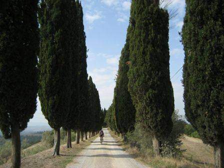 Foto offerta , immagini dell'offerta  di Ovunque viaggi.